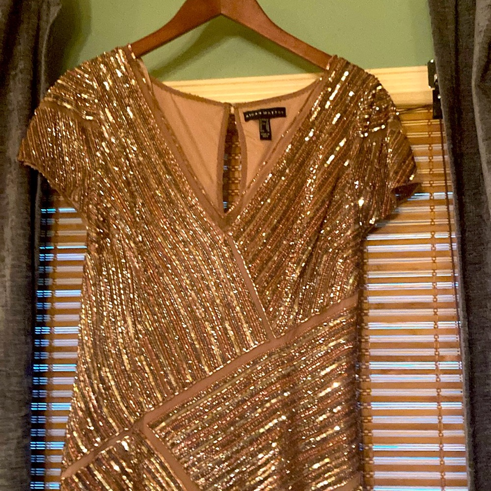 Beautiful sequined sheath
